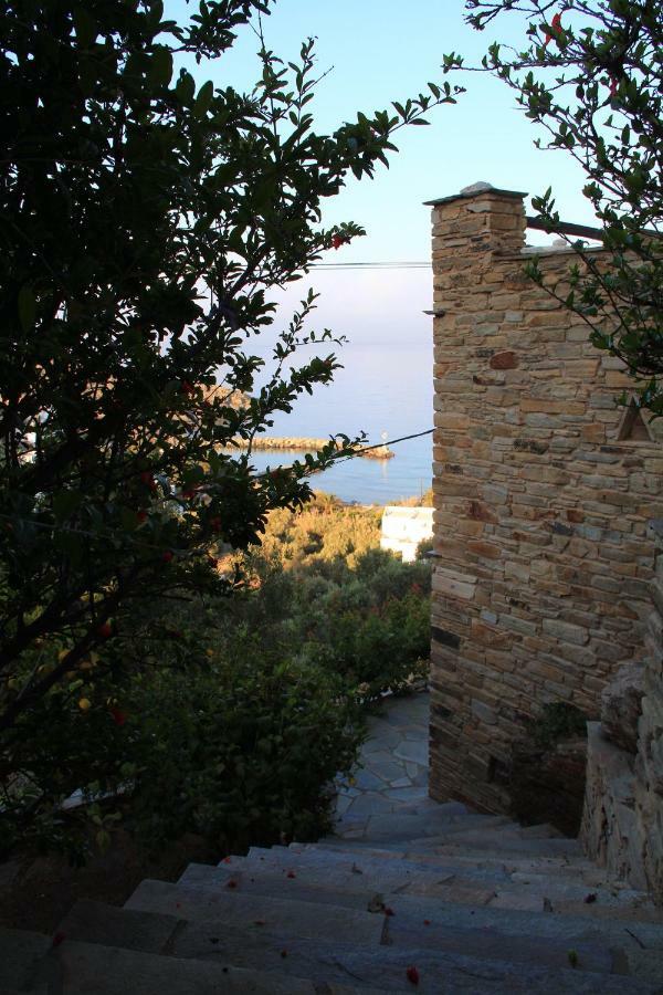 Cozy Guesthouse - Agios Romanos エクステリア 写真