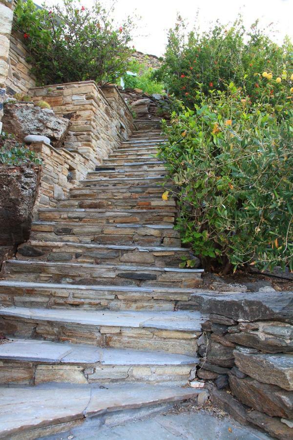 Cozy Guesthouse - Agios Romanos エクステリア 写真