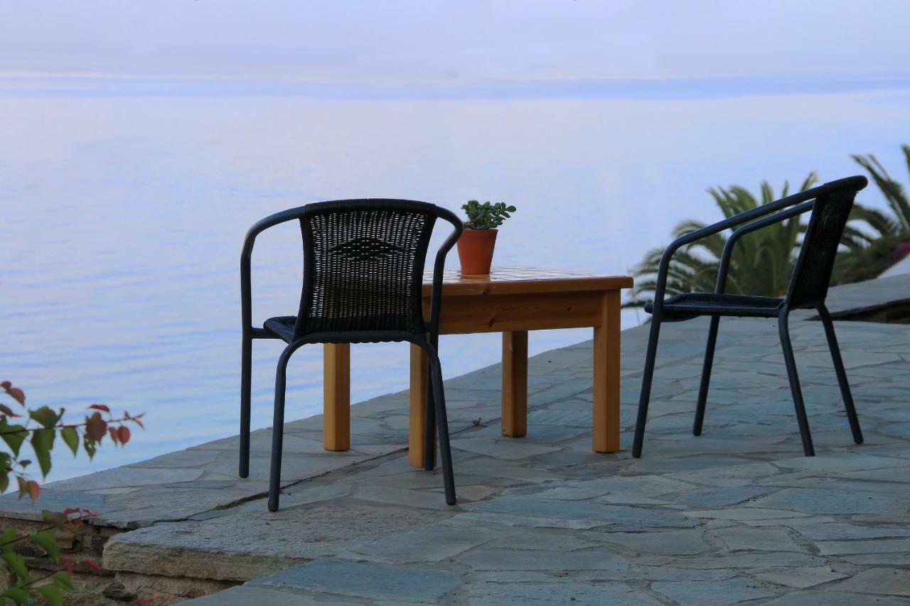 Cozy Guesthouse - Agios Romanos エクステリア 写真